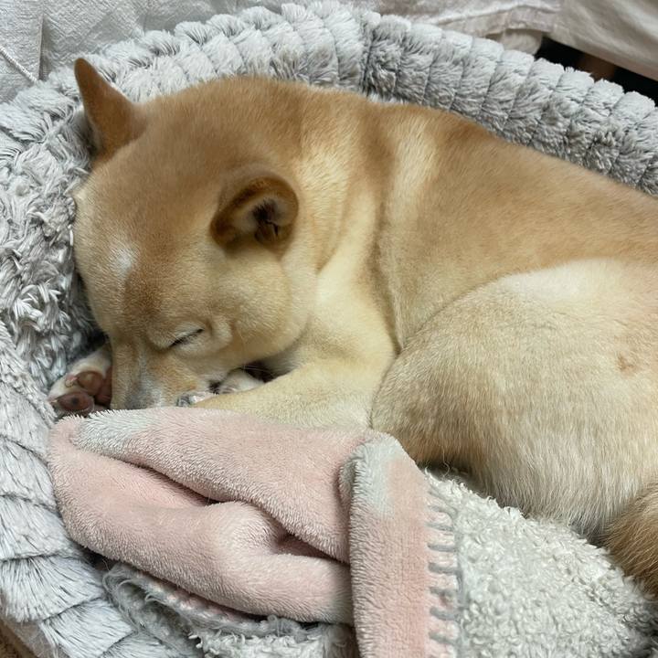 4e60a812 241b 4ce2 8829 8ffbb2b79721 1674995672825