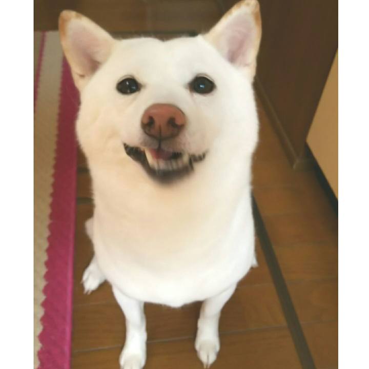 4e6102a4 221e 4179 b364 18976a22c350 1532478440997