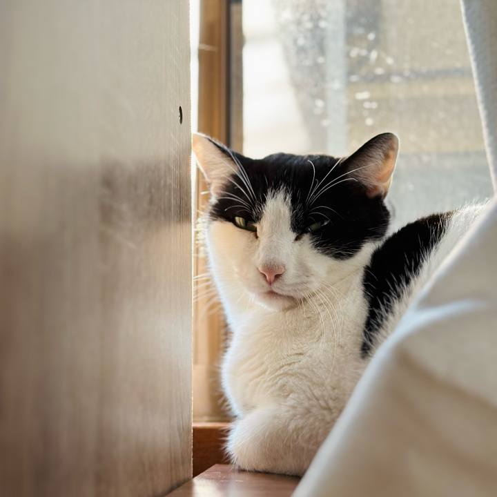 4e61275e e650 4cf6 854e 4bc2851dd755 1706406026937