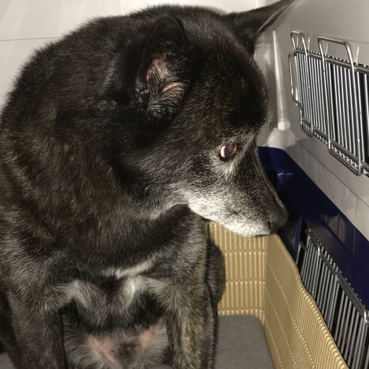 4e6161b8 c6be 472c a29e ec2ca177bab6 1509099192666