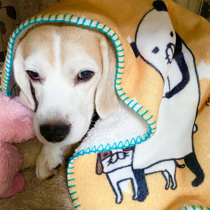 4e61870c a921 4904 bc6d 9fe89bdc9553 1611460183816