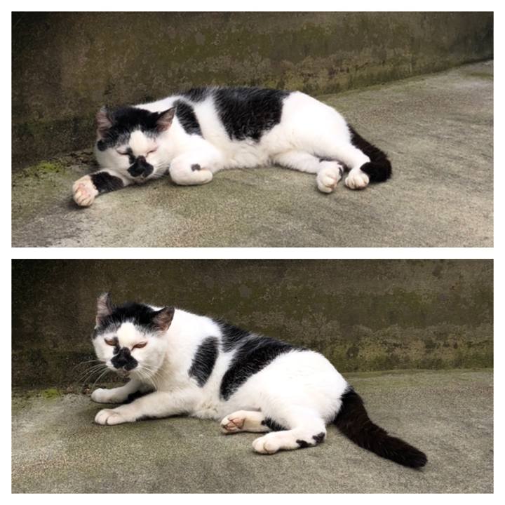 4e619116 8066 47ea a4a8 84c8c3641320 1564046062444