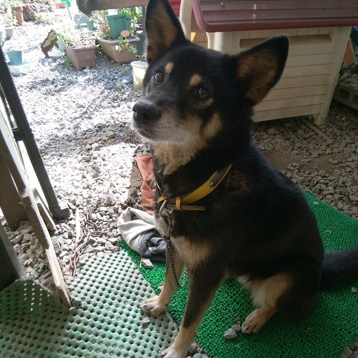 4e619fd3 4683 4f98 9691 62adeff607f4 1540693785085