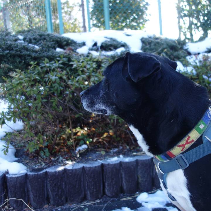 4e61ba4d 47fa 4c1e a8d6 515bf0203daa 1707266853707