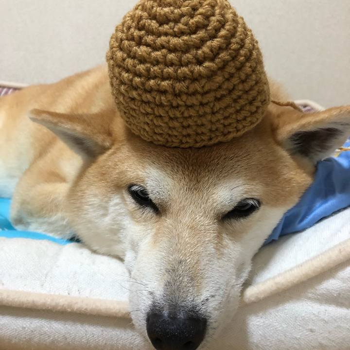 4e61d2b1 ca68 4c9e abc0 41fb72486f9d 1566577662968