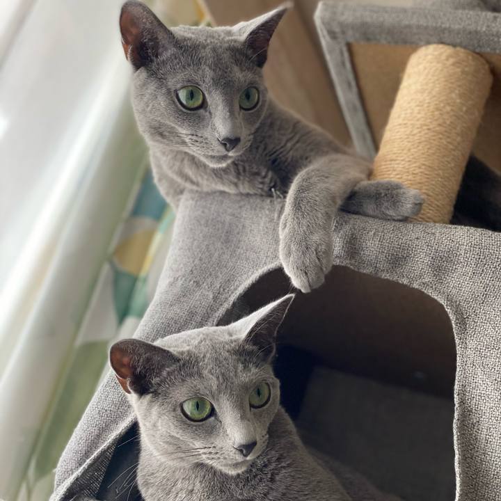 4e61edfa d4d6 4870 9b37 5961e66ee2d0 1630277451285