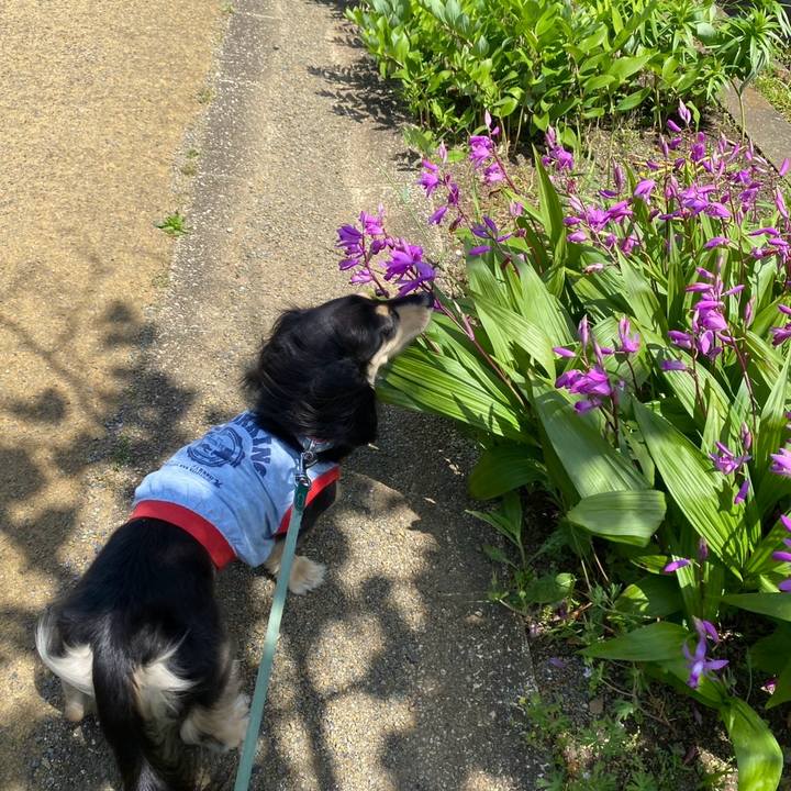 4e627350 8fd8 4899 8ab9 10f0cf03f3b1 1746682420823