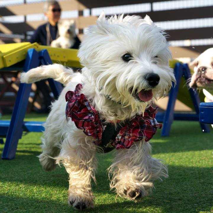 4e628be3 009d 496e 8787 254589455aa8 1518909349181