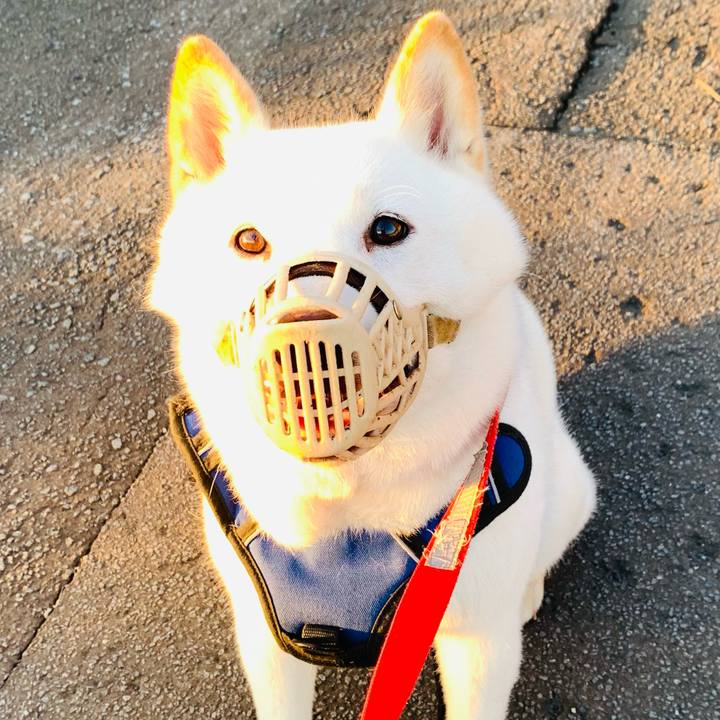 4e62cb66 d1bc 41ef a325 333be8e650bd 1627589937747