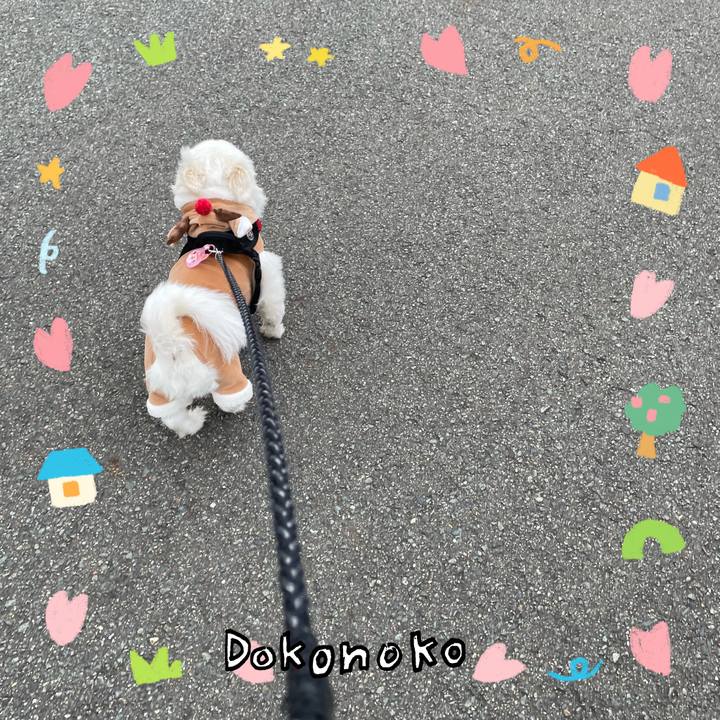 4e62d9ca e785 44bb 8f65 290d71f31adc 1741406761036