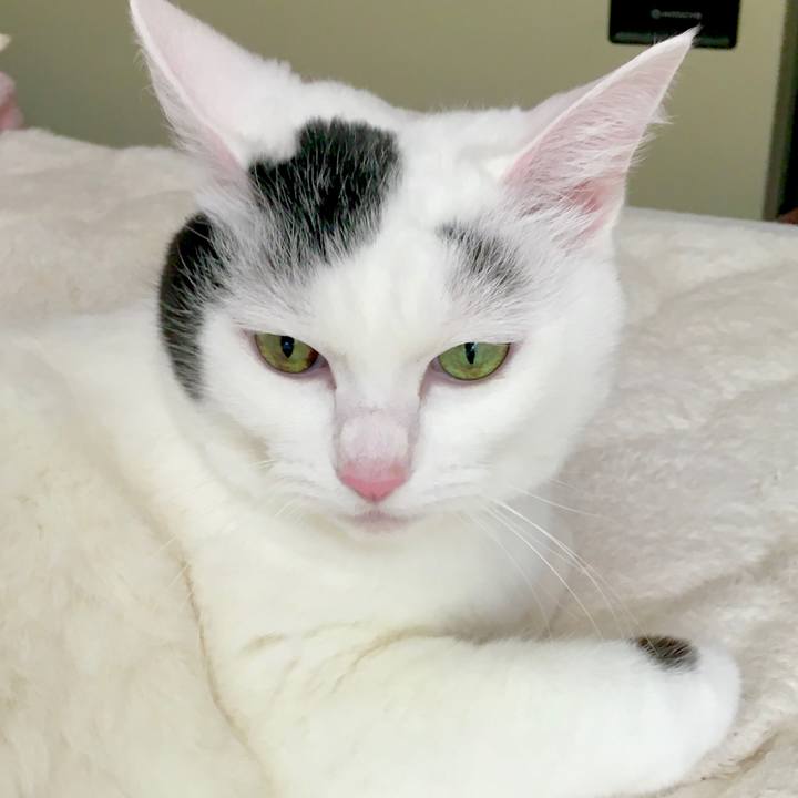 4e62e1a6 f69b 4c5c a023 cea73a66b5bb 1574841761792