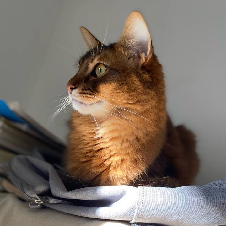 4e62f746 3eca 4811 bcb2 ab88cb866d1c 1666738402310