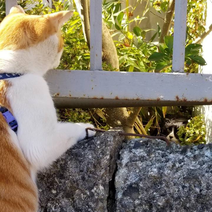 4e638b9a b409 45e3 bc93 101da9369c32 1543142633936