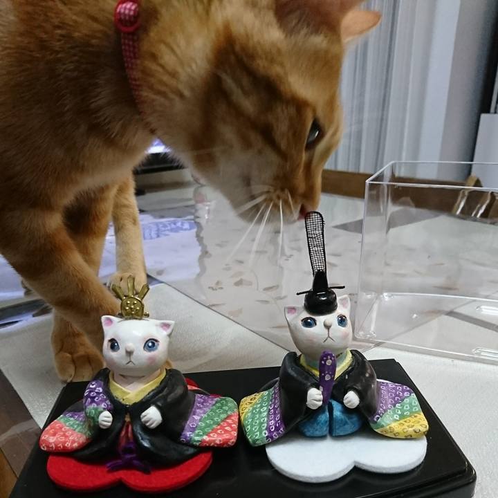 4e642b14 43c7 4ec7 8ddc a6387e49afec 1516022033937