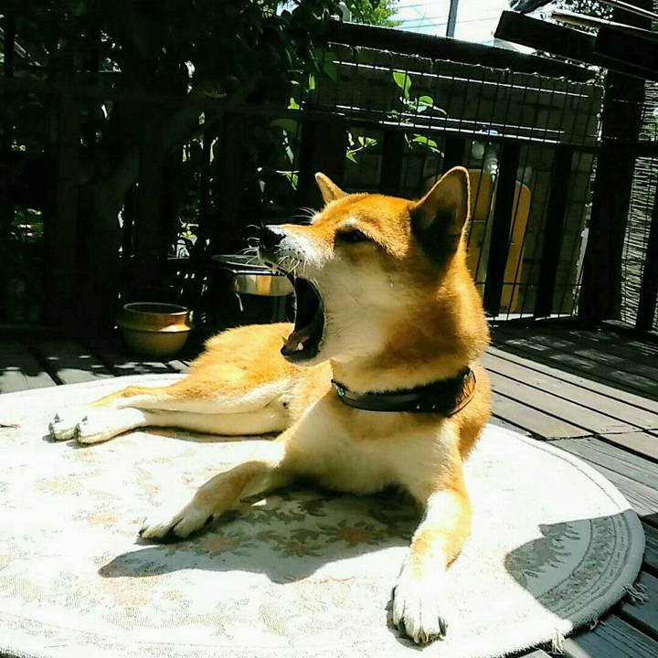 4e642d0c 55ef 4230 80a8 92079acfdb57 1563511603210