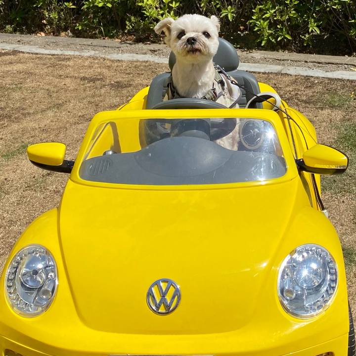 4e6432af 602f 4ade 977d 0fdb1e1a426f 1683893722627