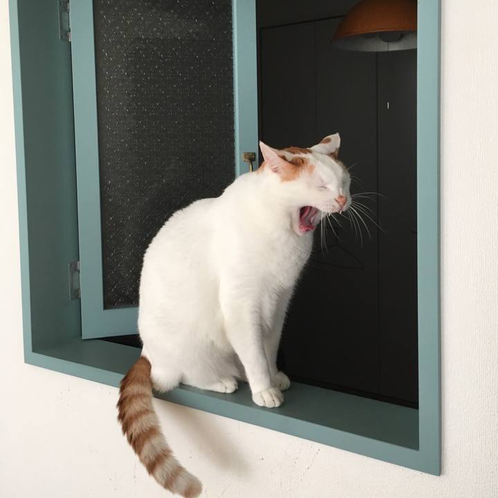 4e645068 2f5e 42d2 94c5 a350a3895f30 1535246196560