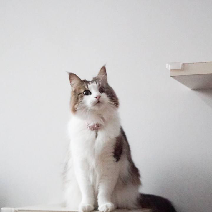 4e647750 5eb5 4692 be7e a8bca531fc64 1577675615080