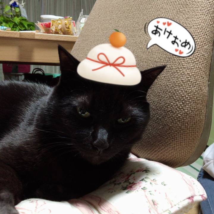 4e647cea 989d 4018 933b 652f127e5958 1546915457847