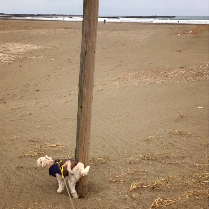 4e64871a 65d6 4d42 8000 769aea130753 1516272375439