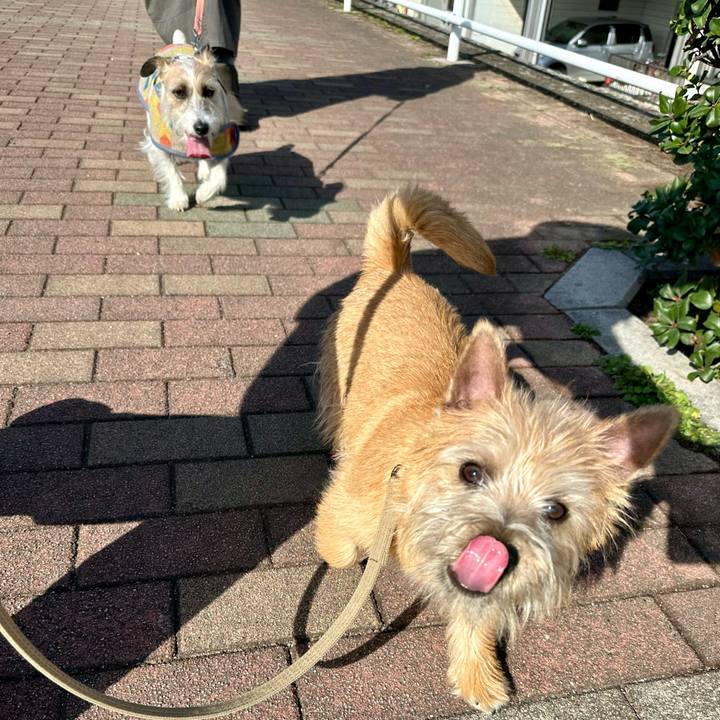 4e64a2fb 30ef 4640 9d05 00b5a0e86e4b 1708837196526