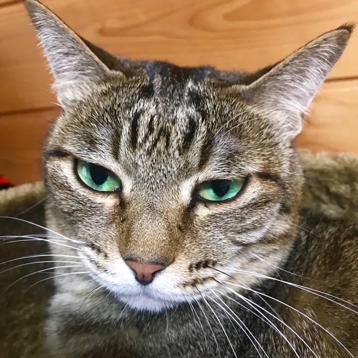 4e651b9a 5b41 4795 8ade 518d554dedc8 1558167645967