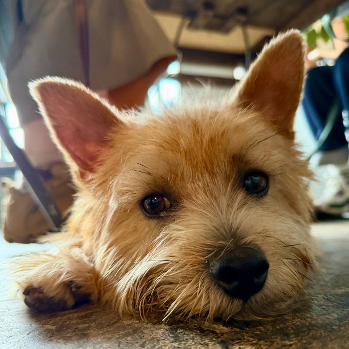 4e653422 24f4 47fb bddc 6fe6658065e2 1760370384127