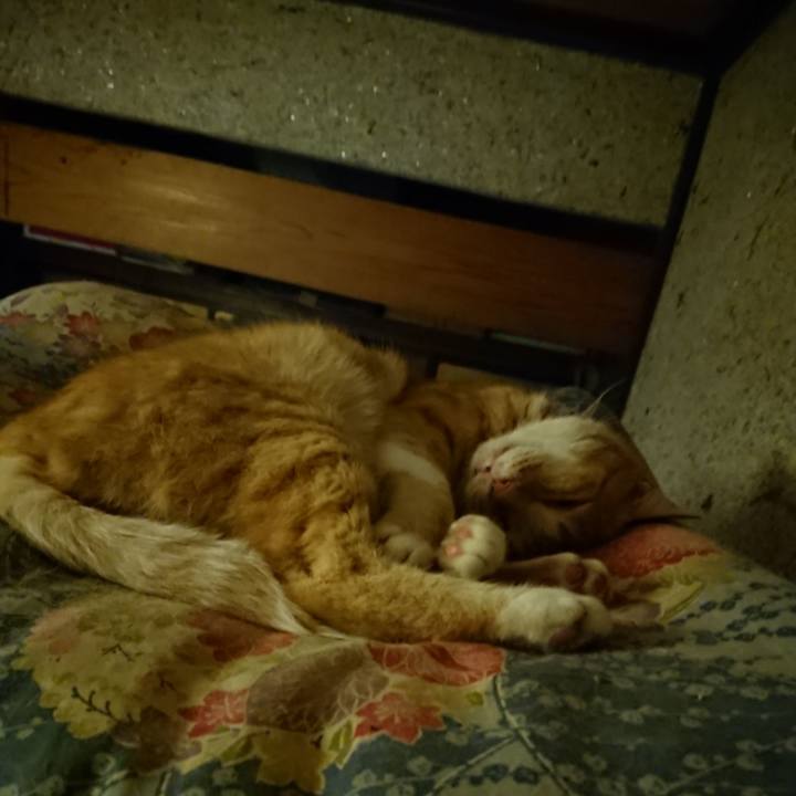 4e6559ef fcec 4a17 a71e 4d2942a7256b 1595678519586