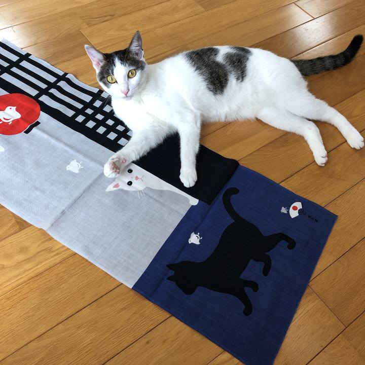 4e655f23 33ed 4f4f ba9c d54dbac54843 1597056731358