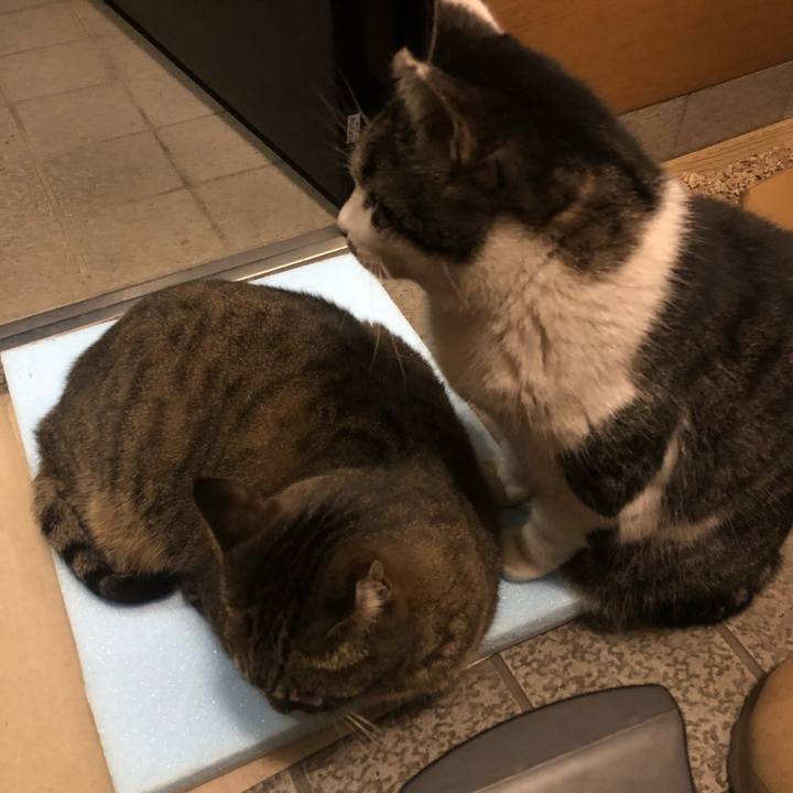 4e6564ab d3cd 449d af27 7b85334487ee 1607588084284