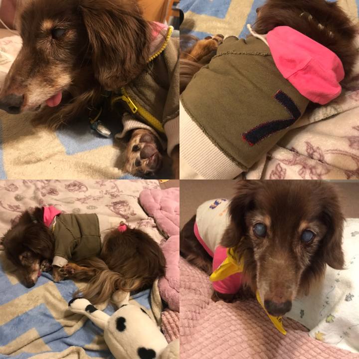 4e6582c6 678f 4bb2 b281 63e87f2d17e1 1583150171653