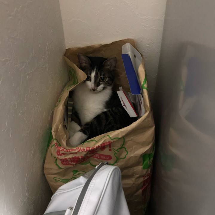 4e658fba d16d 4f94 aa1f d850274b8195 1533262683266