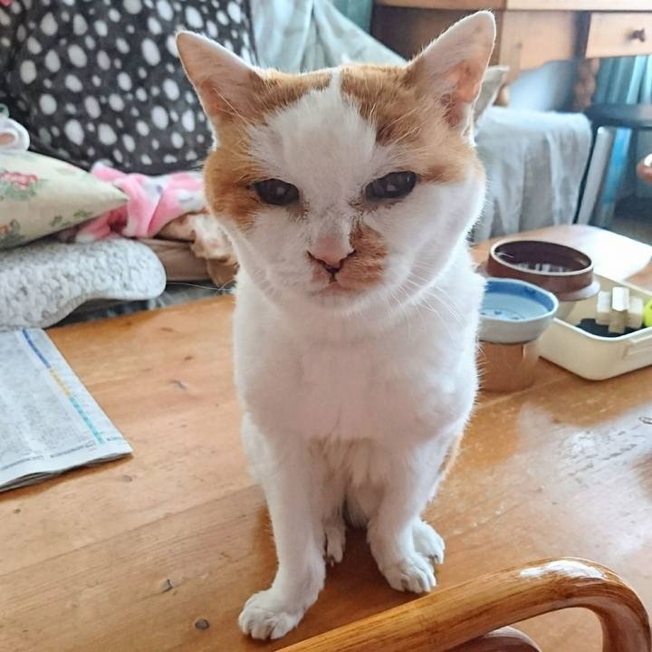 4e6592ac 2038 48c2 8eac 9bf89d78e373 1738416587154