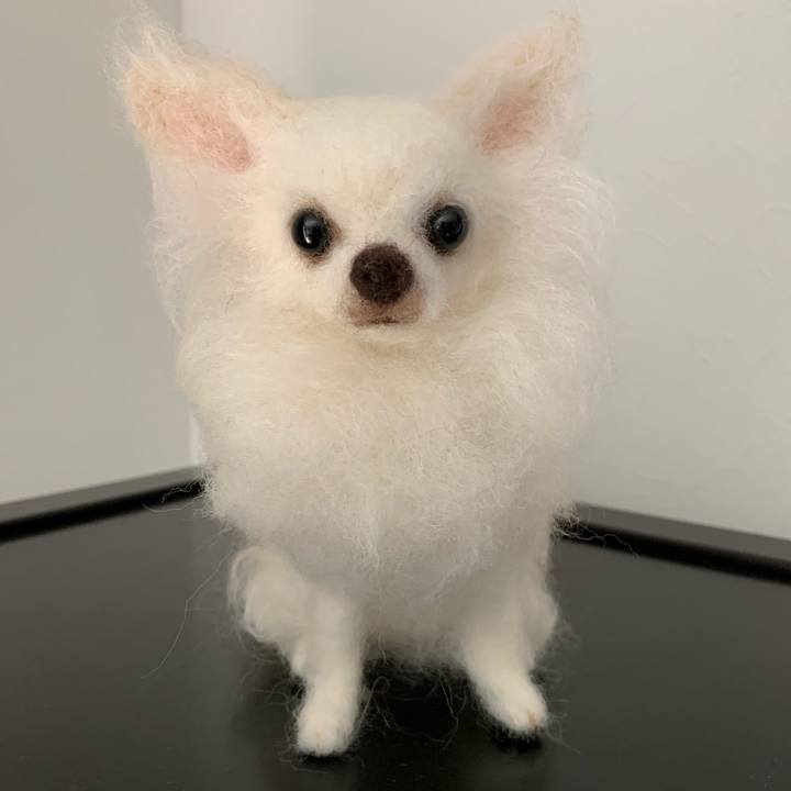 4e65a2bf e765 44be 954d 2ee38b455128 1589694135895