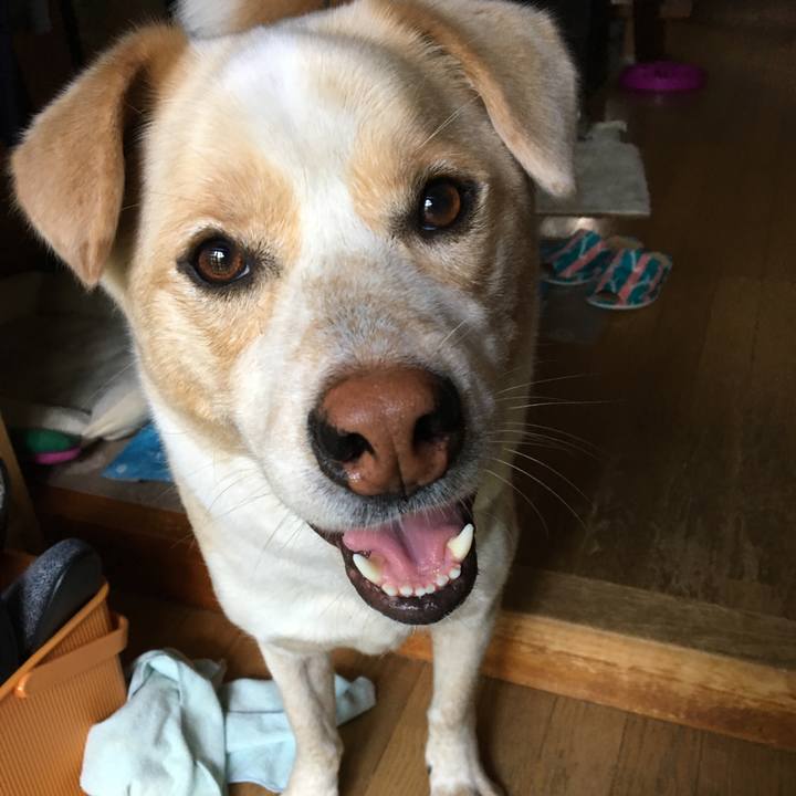 4e6602a7 c8c0 4417 a090 507bf2d2bb59 1527379462567