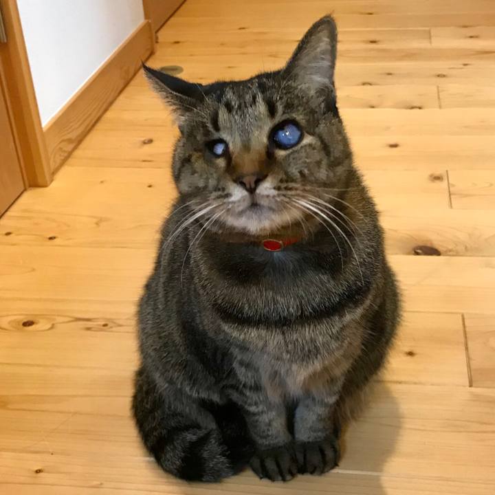 4e661b2d 2254 41f9 87ed a7f75c7487f5 1575245176036