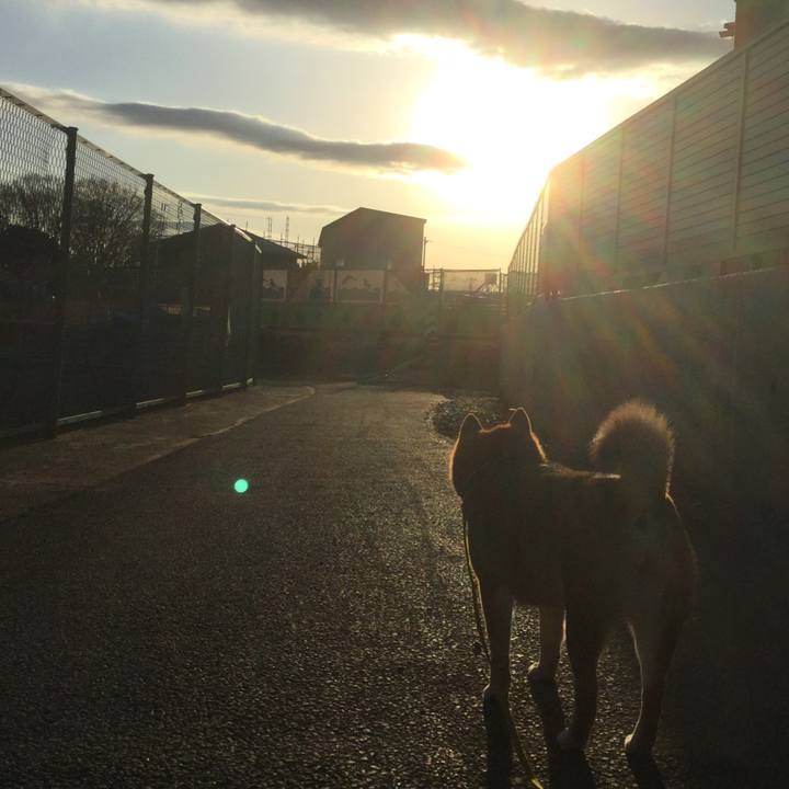 4e6630f1 ce20 456a 8f0d 5cf5f3cb2f80 1549581171556