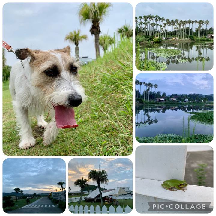 4e664b0b c93a 43c6 b950 e69b053bae82 1661051901892