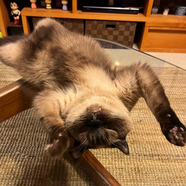 4e665a8e 361e 4d9d 9032 00d44404f2b9 1725967873516