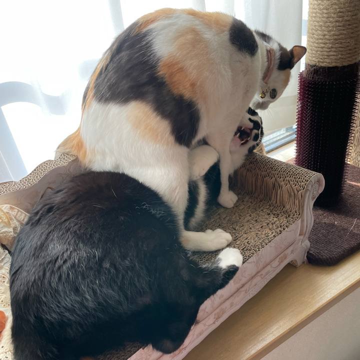 4e669692 fc65 42da b1d7 218e035b74e5 1679361852713