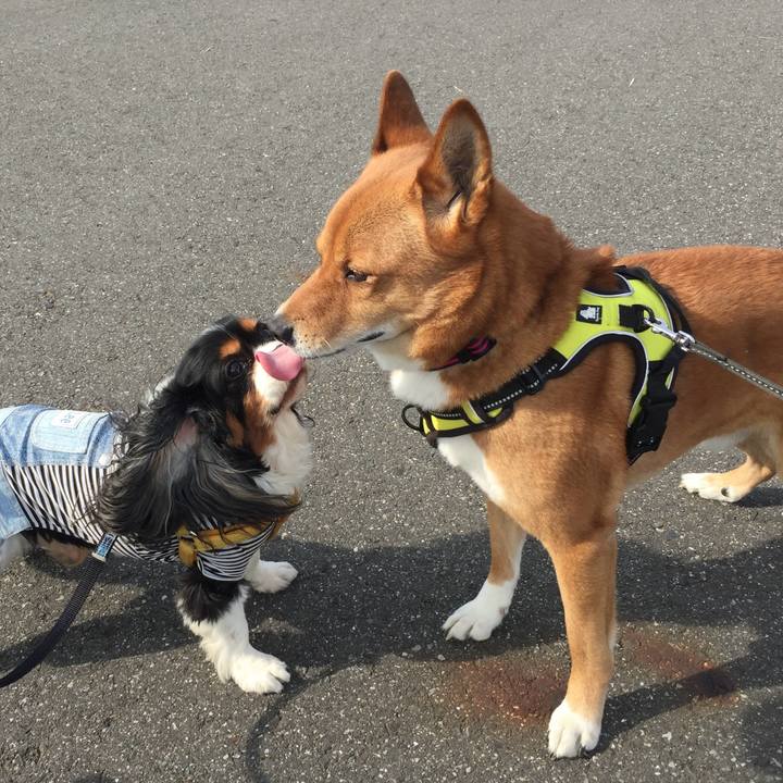 4e66a616 4b40 4e09 963b 47627b038016 1730546640256