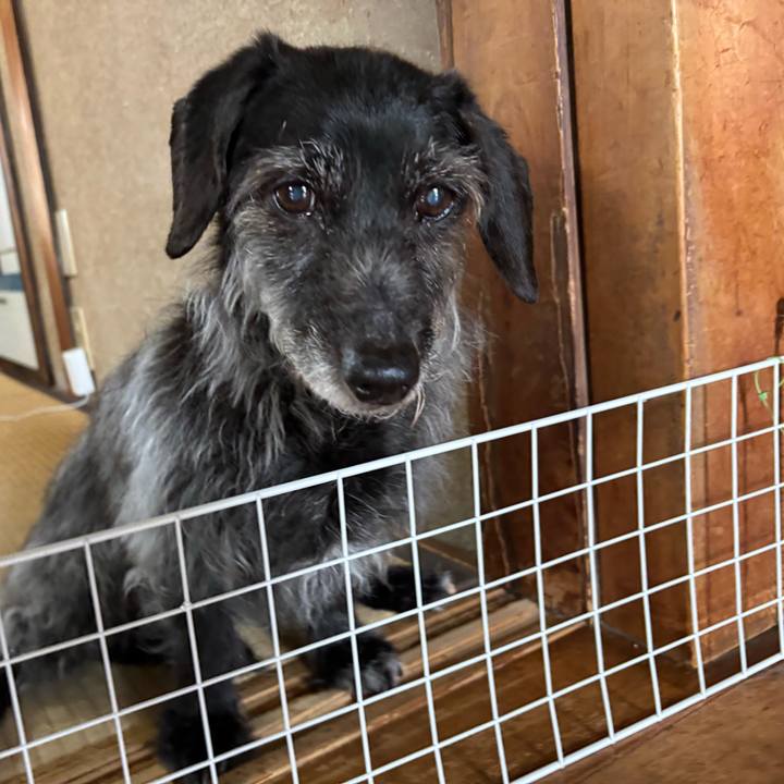 4e66b2be 2af7 44a8 a29a 9eaa93470dd3 1747696048259