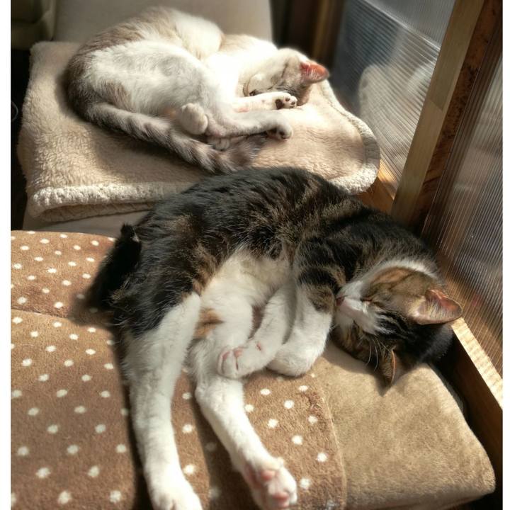 4e66d35a c9af 4f0d 95ae cda2d5471446 1554943717699