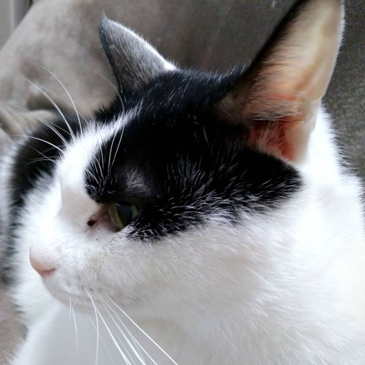 4e66db19 c7d7 467d 951b 2f02c8152996 1548936872890