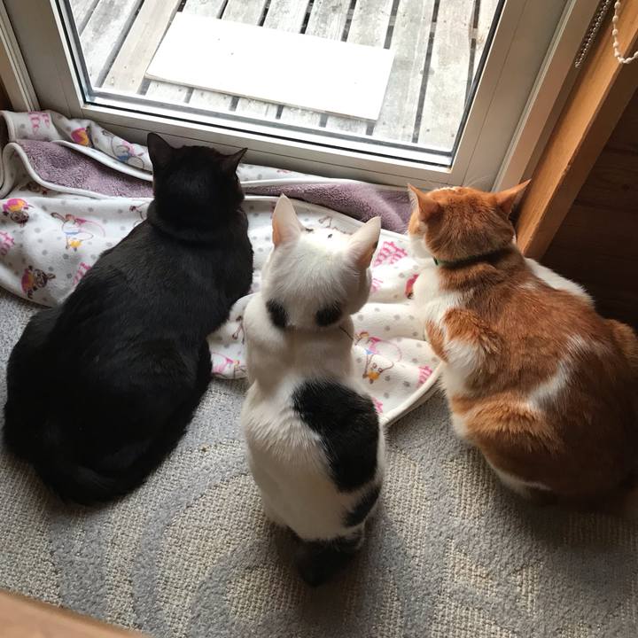 4e6753a4 9f93 4ee8 adc9 52d0576bed2e 1584564822875