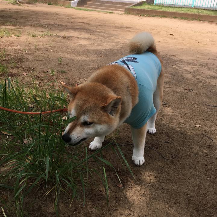 4e678a9a 29e6 4ba3 a4a1 4ccdee66dc39 1557886089699