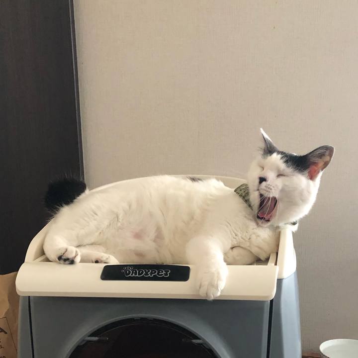 4e67ab1c d4af 4cdd 9403 57c2cc64d0db 1564961738601