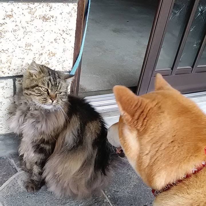 4e67b77a b6e9 4518 a9ee 81dc6ff65dff 1624586862696