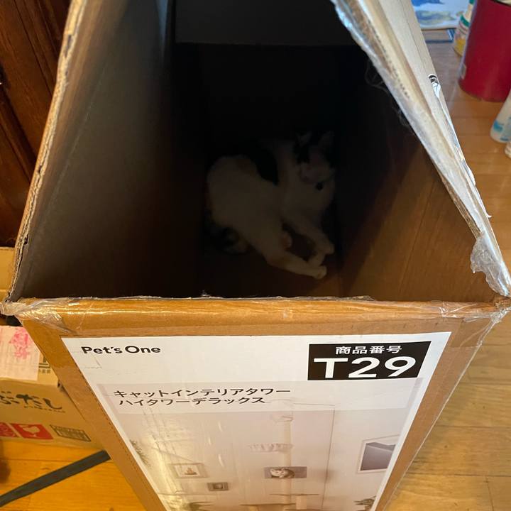 4e67eb16 de89 415f a7e3 411aed3f83e8 1723338969285