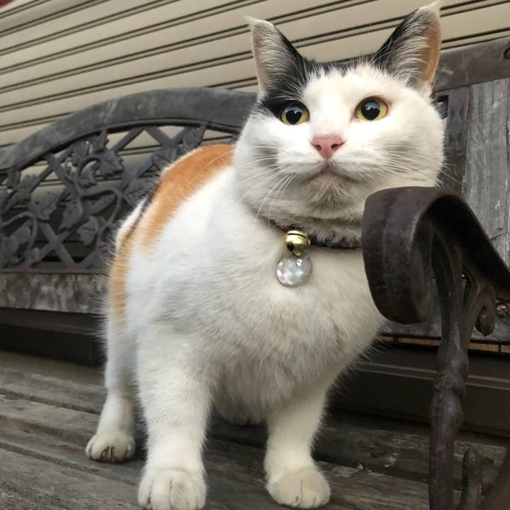 4e67fefc b037 4d3e b2b6 3585b0a6678a 1610663082182